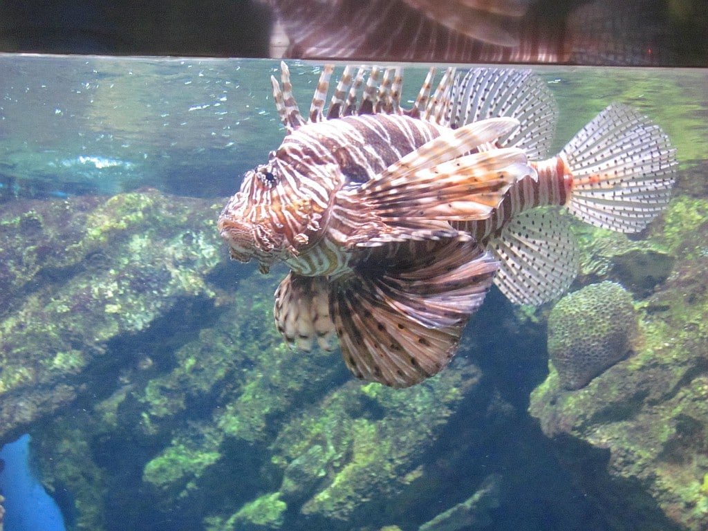 Aquarium Of Barcelona